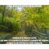 Фото к отзыву