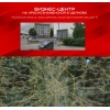 Фото к отзыву